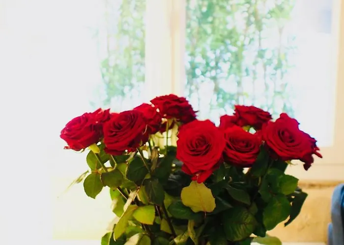 Lägenhet Esprit Bordelais Bordeaux