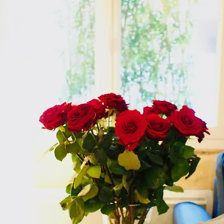 Apartamento Esprit Bordelais Bordéus